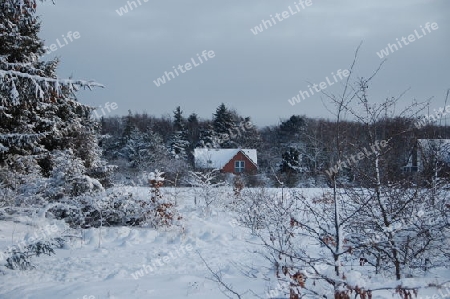 Winterlandschaft