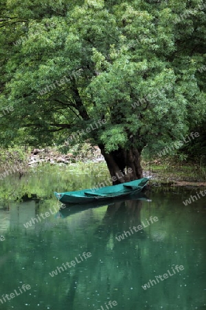 Europa, Osteuropa, Balkan. Montenegro, Skadar, See, Landschaft, Rijeka Crnojevica, Natur, 