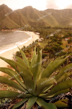 Suedamerika, Karibik, Venezuela, Nord, Chuao, National Park Hanri Pittier, Dorf, Cacao Dorf, Kakao Dorf, Landschaft, Natur, Beach, Strand, Berge, Kaktus