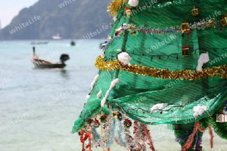 Weihnachtsbaum im Detail  mit Meerblick am Strand von Koh Pi Pi in Thailand 