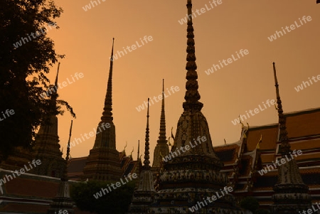 Die Tempelanlage des Wat Pho in der Hauptstadt Bangkok von Thailand in Suedostasien.