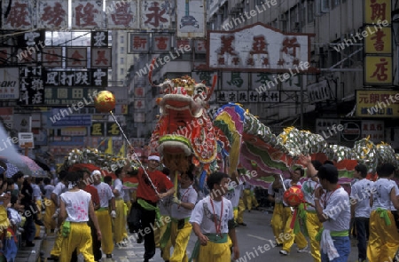 the Dragon festival at the Chinese newyear in Hong Kong in the south of China in Asia.