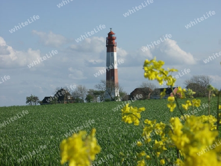 Leuchtturm auf der Insel Fehmarn