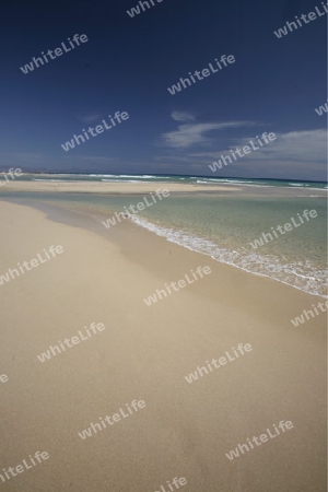 the Playa de Satovento de Jandia on the south of the Island Fuerteventura on the Canary island of Spain in the Atlantic Ocean.