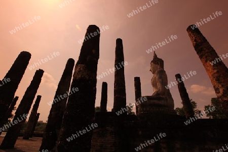 Eine Buddha Figur  im Wat Mahathat Tempel in der Tempelanlage von Alt-Sukhothai in der Provinz Sukhothai im Norden von Thailand in Suedostasien.