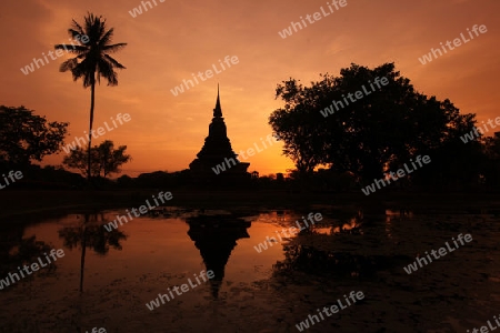 Ein Chedi beim Wat Mahathat Tempel in der Tempelanlage von Alt-Sukhothai in der Provinz Sukhothai im Norden von Thailand in Suedostasien.