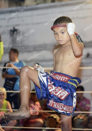 Thai Boxer oder Muay Thai kaempfer bei einem Showkampf vor dem Fort Sumen bei einem Fest im Santichaiprakan Park am Mae Nam Chao Phraya in der Hauptstadt Bangkok von Thailand in Suedostasien.