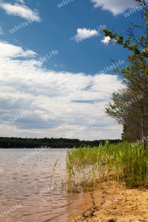 am Kiebitzsee