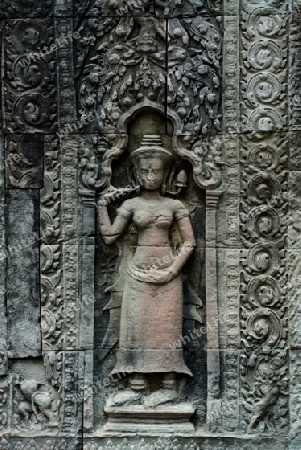 The Temple of  Preah Khan in the Temple City of Angkor near the City of Siem Riep in the west of Cambodia.