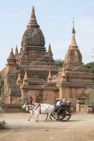 Tourists in a Oxcart Taxi in front Temple and Pagoda Fields in Bagan in Myanmar in Southeastasia.