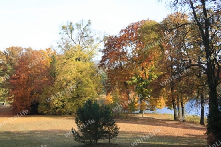 Herbst am Heiligen See