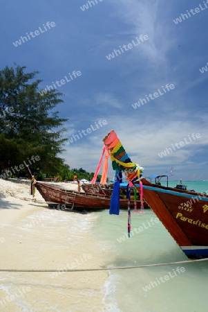 A Beach on the Island of Ko PhiPhi on Ko Phi Phi Island outside of the City of Krabi on the Andaman Sea in the south of Thailand. 