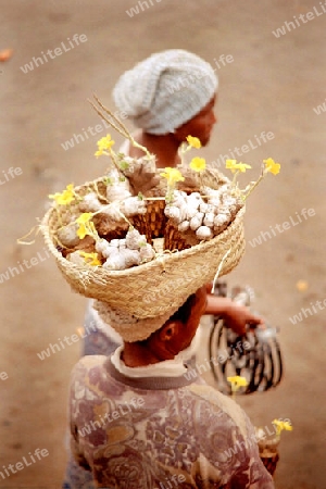 Madagascar Markt