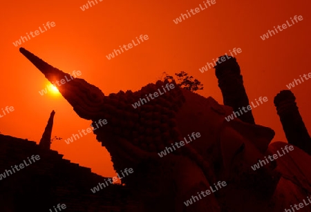 The Wat Yai Chai Mongkol Temple in City of Ayutthaya in the north of Bangkok in Thailand, Southeastasia.