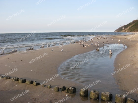 Strand an der Ostsee 