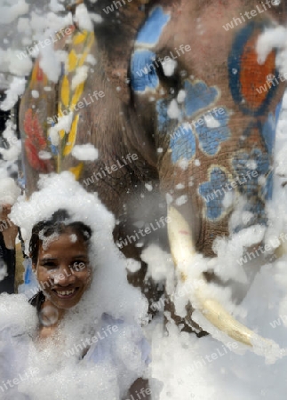 Das Songkran Fest oder Wasserfest zum Thailaendischen Neujahr ist im vollem Gange in Ayutthaya noerdlich von Bangkok in Thailand in Suedostasien.  