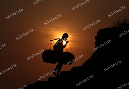 Asien, Indonesien, Bali, Nusa Lembongan, Seegras, Arbeit, Alltag,
Sonnenuntergang in der Seegras Plantage an der Kueste der Insel Nusa Lembongan bei Bali im osten von Indonesien.       (Urs Flueeler) 