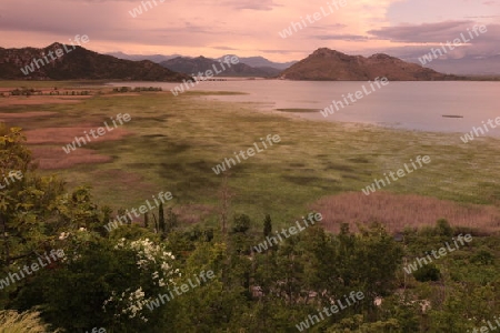 Europa, Osteuropa, Balkan. Montenegro, Skadar, See, Landschaft, Virpazar,