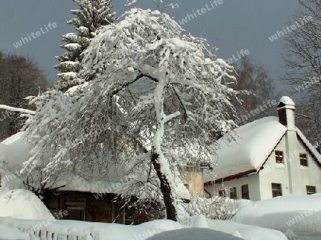 Winter in den Bergen