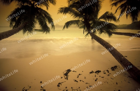 Die Landschaft auf der Insel Mahe auf den Seychellen im Indischen Ozean.