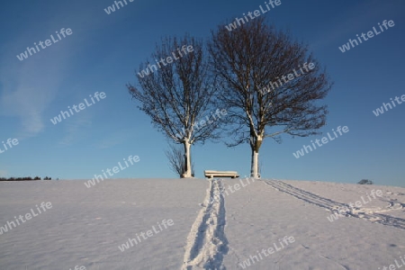 Schneelandschaft