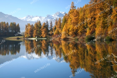 Herbsstimmung am Champfersee