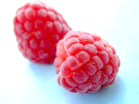 Himbeeren