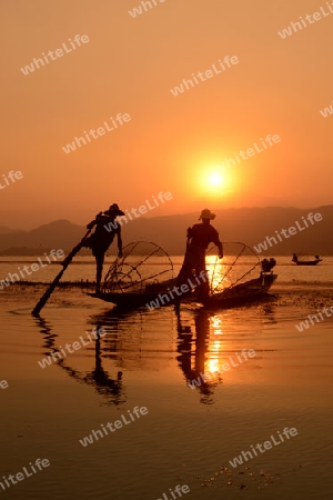 Fishermen at sunrise in the Landscape on the Inle Lake in the Shan State in the east of Myanmar in Southeastasia.