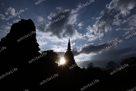 Der Wat Chang Lom im Si Satchanalai-Chaliang Historical Park rund 50 Km von Sukhothai in der Provinz Sukhothai im Norden von Thailand in Suedostasien.