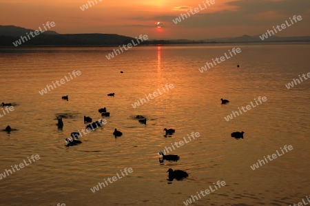 Sonnenuntergang am Bodensee