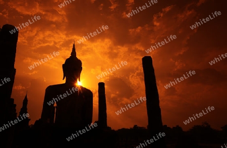 Eine Buddha Figur  im Wat Mahathat Tempel in der Tempelanlage von Alt-Sukhothai in der Provinz Sukhothai im Norden von Thailand in Suedostasien.