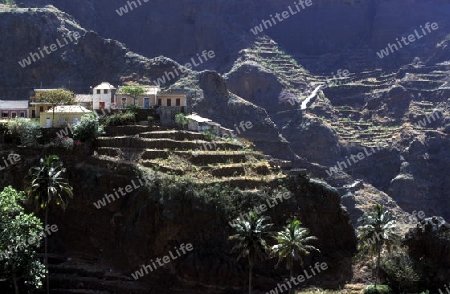 the  Village of Fontainas near  Ribeira Grande on the Island of Santo Antao in Cape Berde in the Atlantic Ocean in Africa.