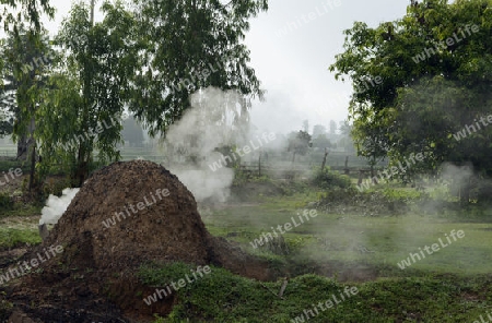 Reisfelder und Landwirtschaft in der Provinz Amnat Charoen nordwestlich von Ubon Ratchathani im nordosten von Thailand in Suedostasien.