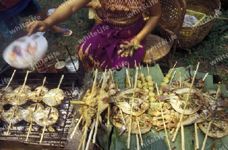 the spring and water festival near Jinghong in the region of Xishuangbanna in the province of Yunnan in china in east asia. 