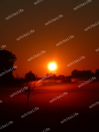 Sonnenaufgang im Nebel