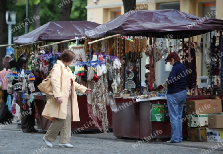 The Market at the Summer Festival in a Parc in the old City of Vilnius in the Baltic State of Lithuania,  