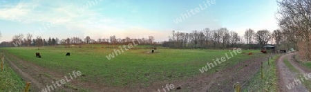 Beautiful high resolution panorama of a northern european country landscape with fields and green grass.