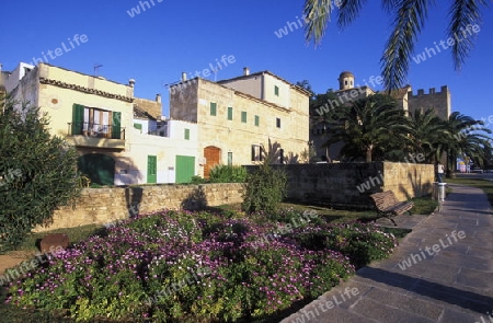  Das Zentrum des alten Dorfteil von Alcudia mit dem Torbogen der alten Stadtmauer im Osten der Insel Mallorca einer der Balearen Inseln im Mittelmeer.   