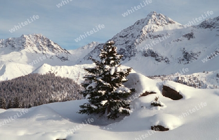 Winterlandschaft im Gebirge