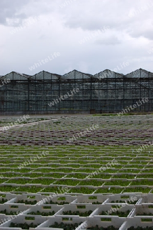 Gartenbaubetrieb