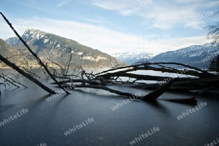 Thunersee im Herbst