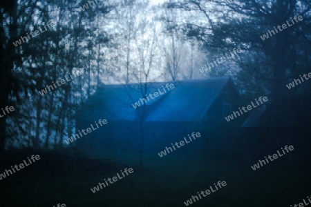 Holzhaus im Abendnebel