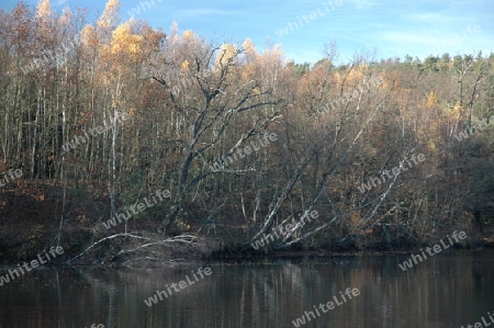 Lienewitzsee bei Ferch