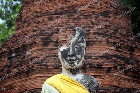 Eine Buddha Figur in einem Tempel in der Tempelstadt Ayutthaya noerdlich von Bangkok in Thailand