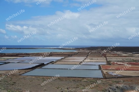 Salinas de Janubio, Lanzarote