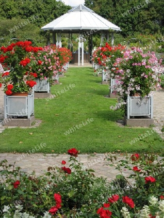 Metallpavillon und Metallbeh?lter mit Geranien in Planten un Blomen