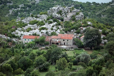 Europa, Osteuropa, Balkan. Montenegro, Skadar, See, Landschaft, Murici,  