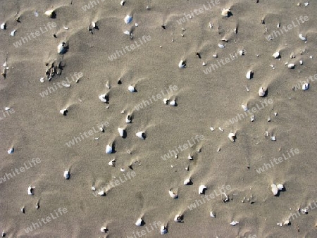 Sand mit Muschelbruch