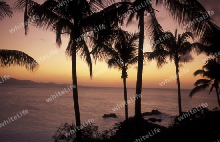 the landscape on the coast of the village Moya on the Island of Anjouan on the Comoros Ilands in the Indian Ocean in Africa.   