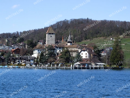 Schloss Spiez